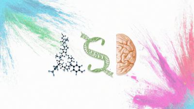 PhD Thesis: The Role of Oxytocin in Autism featured image